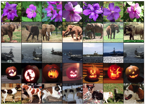 特徵表示:相似影像在語意空間中聚在一起